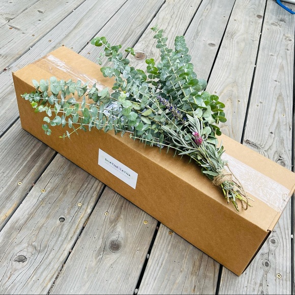 2x Eucalyptus Bundle - Picture 3 of 6